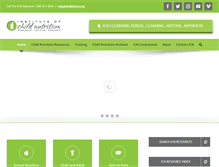 Tablet Screenshot of nfsmi.org